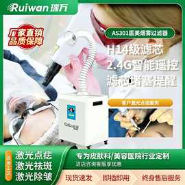 瑞万激光美容烟雾净化器活性炭美容院点阵除烟机祛斑黑脸娃娃排烟