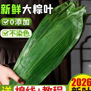 �ش����r���~100Ƭ��ȻҰ�����~�������~�ӷǸ����~���~���~���]