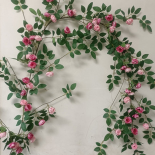 õ�廨�ٗl�����c�G�~�b��������{�ܵ��҃ȿ͏d�ٻ��ڒ�