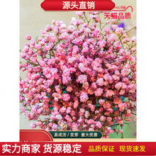 �M���ǻ��N���ļ����ױ����_���҃����̨��������[�Ż��N��