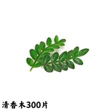 批发蛋糕装饰绿植新鲜胡椒木清香叶子金香烘焙西餐甜品点缀花草摆