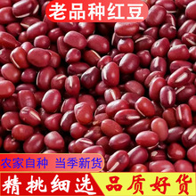 �|���tС�����xС�t���I�B���{���ڮ�����ɳ���ּZ����s�Z���l