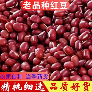 东北红小豆精选小红豆营养豆浆正宗当年新沙豆粗粮五谷杂粮批发
