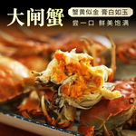 【坏蟹包赔】兴化4.5两鲜活大闸蟹10全母蟹礼盒河蟹8只大螃蟹公蟹