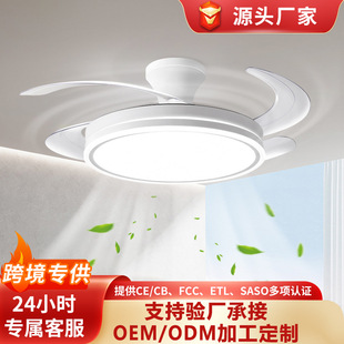 �羳���N2026�¿��[���L�ȟ��O������������һ�w�Ͳ͏d���ҵ���
