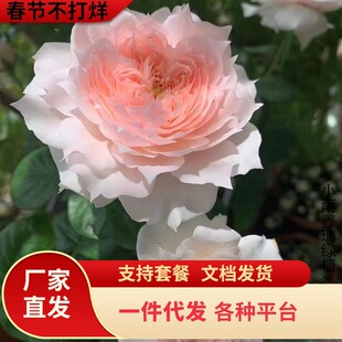 һ�����l���Ů���¼�����󻨝����ľ�¼��ļ��_���̨ͥԺ���@