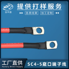 定制铜鼻子接线端子 RV1*4平方电线 SC4-5窥口端子线 电机连接线