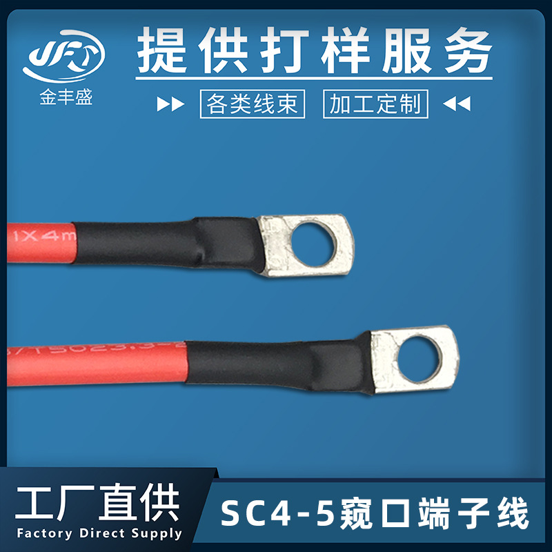 定制铜鼻子接线端子 RV1*4平方电线 SC4-5窥口端子线 电机连接线