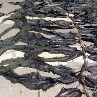 ����� ���� ������������Rβ��