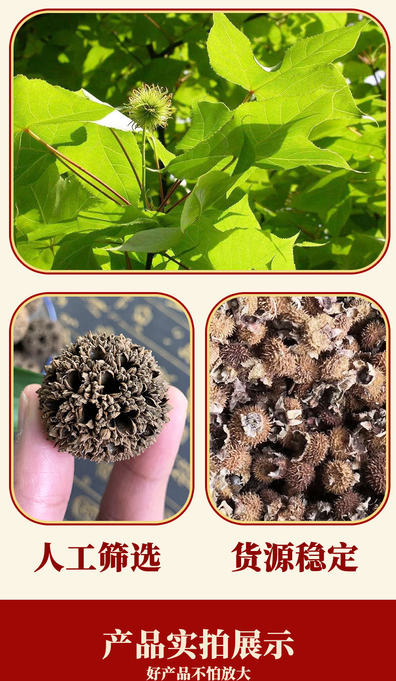 Lulutong Sweetgum Fruit 500g Dried Liquidambar Fructus Whole Fruit for Decoction and Culinary Use overview
