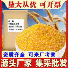 中粒黄玉米碴50斤/袋苞米茬棒子粒商用大包碴子粥玉米仁厂家批发c
