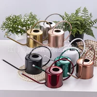 Садовые растения Vintage Sprinkler Большая емкость из нержавеющей стали Цветочный опрыскиватель Металлический поливочный чайник Бытовой длинный рот