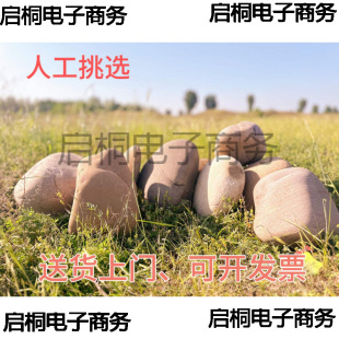 ��̖�Z��ʯʯ�^ԭʯͥԺ�~�؇�߅ˮ��ƺ���@�쾰�b�����