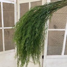 网红爆款仿真绿植芦荀草 龙须草花艺师首选森系婚礼花艺布置造景