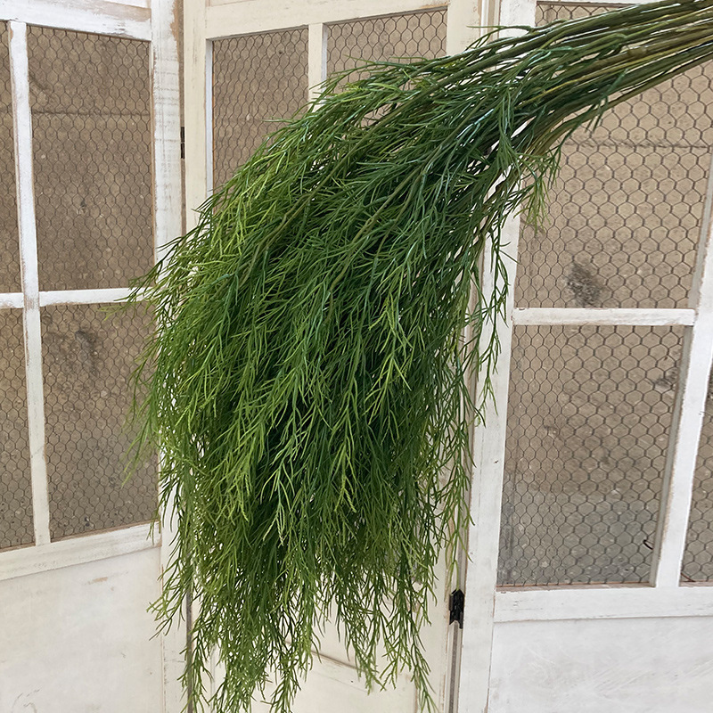 Net Red Explosions Simulation Green Plant Laxuns Grass Aracifolia Florists Preferred Mori Wedding Floriculture Arrangement Landscape