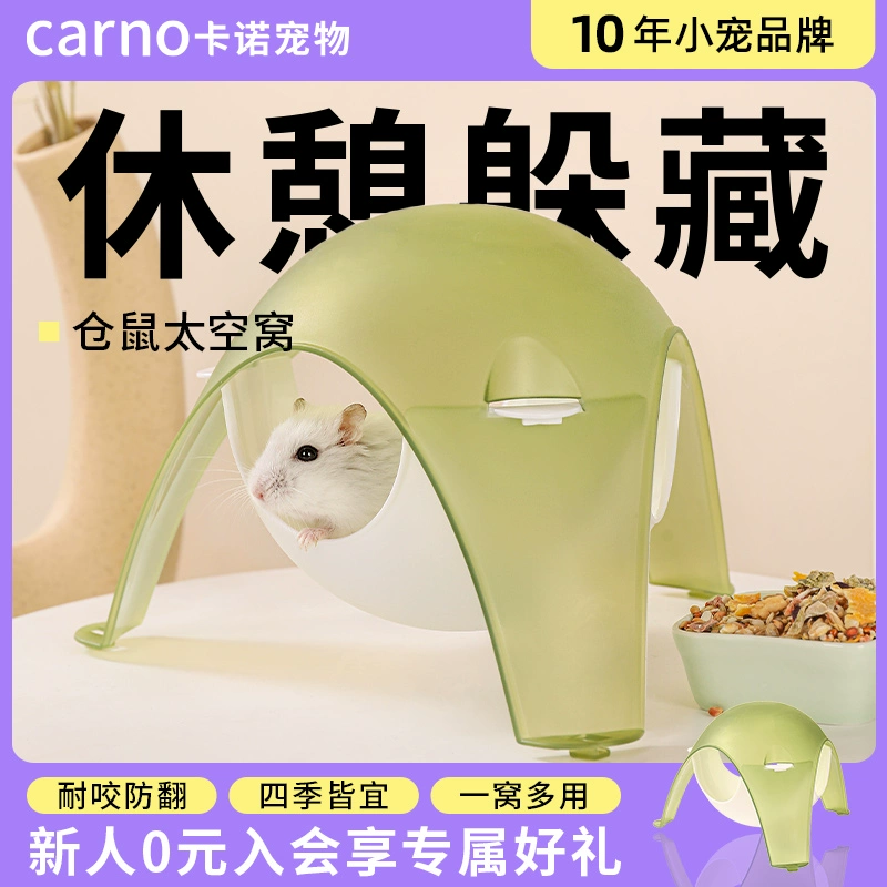 Кано гнездо хомяка висит в уклонении от дома, золотой медведь спит в маленьком доме