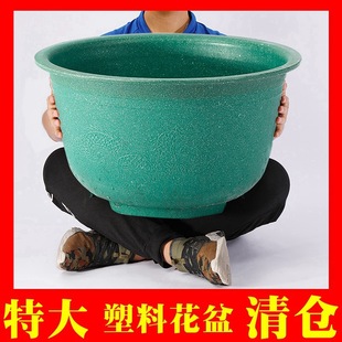 ���ϴ���Ӻ��ش�̖�a�N������ͥԺ���������؃r̎����}���l