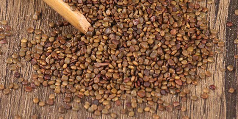 Sha Yuan Zi Tea Slices 500g Dried Flatstem Milkvetch Seed for Daily Herbal Infusions key features