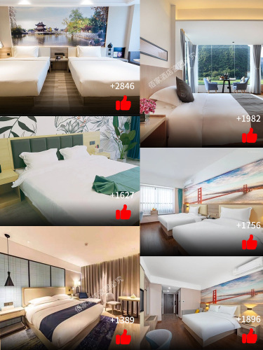 Single and double bed rental rooms, hotel-style furniture, standard twin rooms, complete sets of hotel bedding, single rooms available for booking, guesthouse apartments