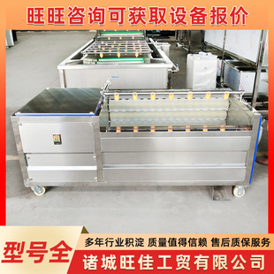 Tubers, Fruits and Vegetables Peeling and Cleaning Processing Line Shepherd's Purse and Daylily Washing Machine Fruit and Vegetable Bubble Washing Machine