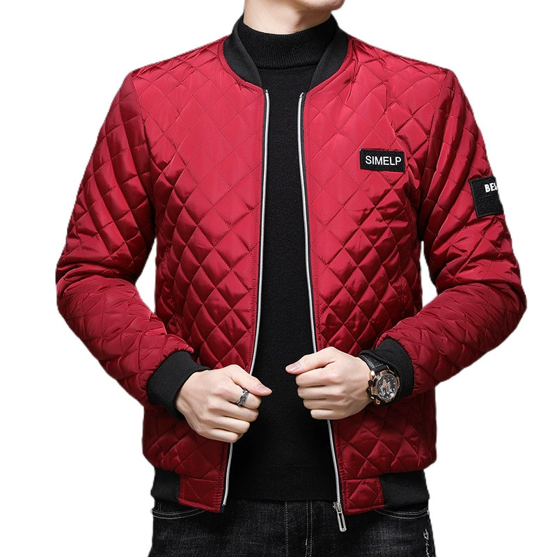Demi-season spring men's fleece down jacket with down