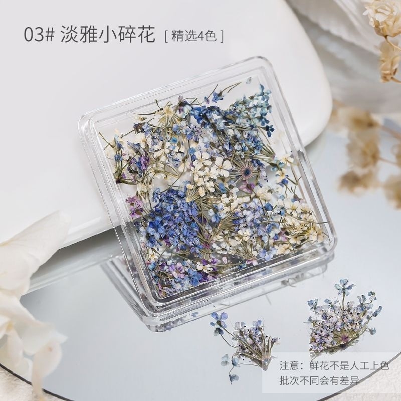 일본식 드라이플라워 3#