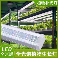 ȫ���V�����a���������ɫ��ͽ�L�҃�ֲ������LED���L�a�����