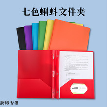 多色蝌蚪夹分类收纳资料夹PP防水文件夹双口袋跨境美式D型报告夹