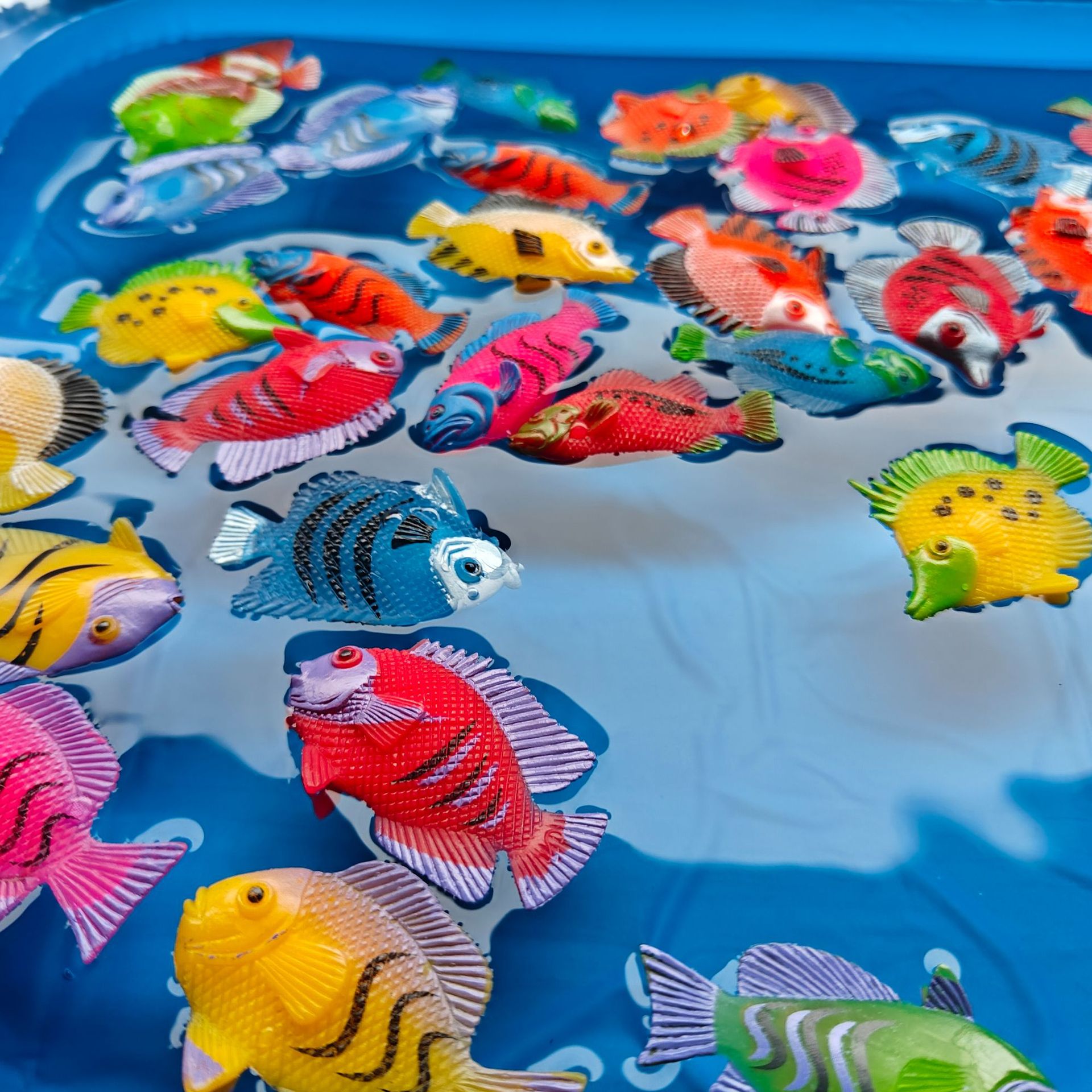 떠다니는 물고기 12마리 [가방]