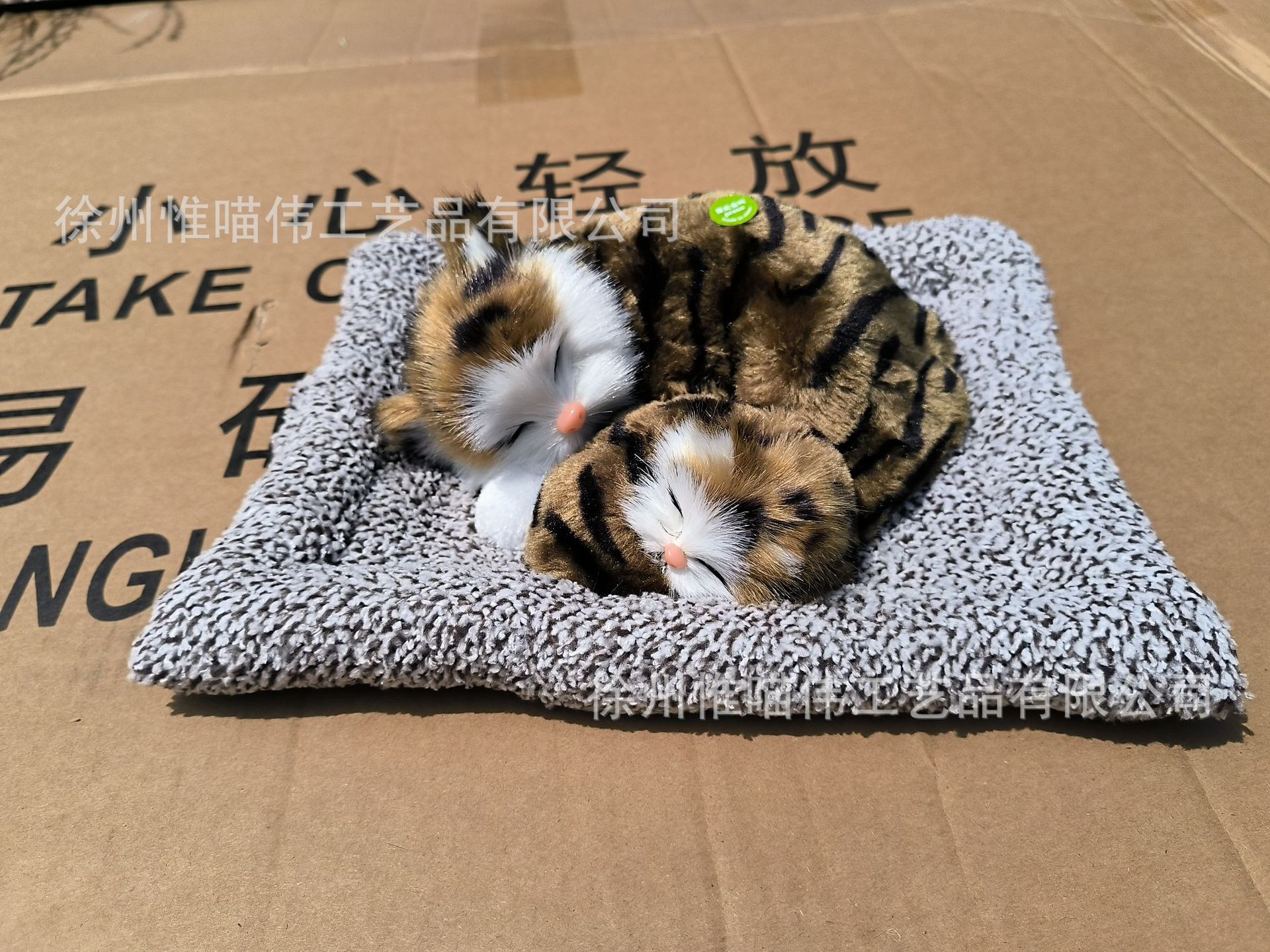 Madre-hijo Gato Castor Dormido + Grey-haired Gato Castor