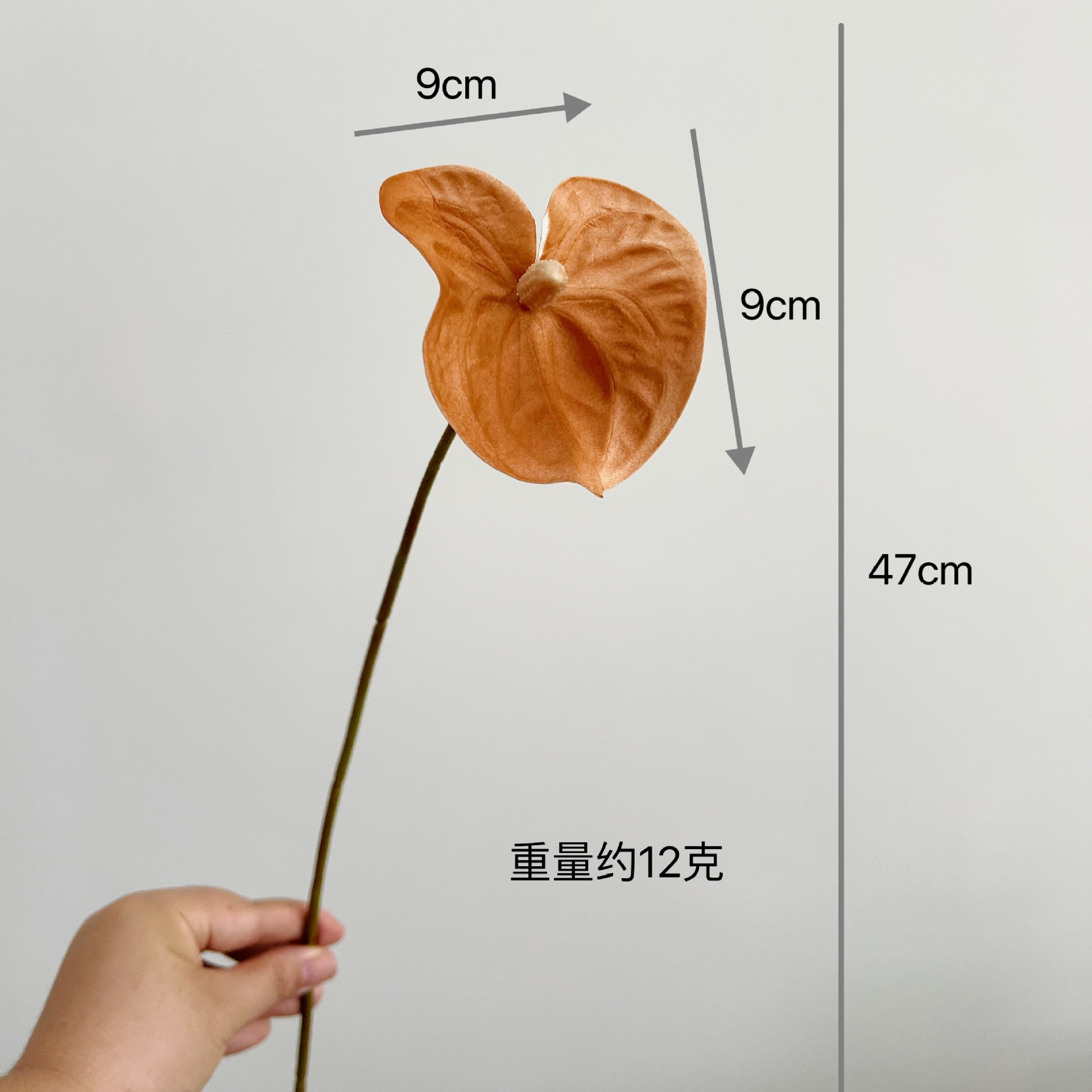 Short-branched bear paw [coffee color]