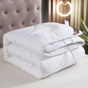 [Find Factory Customization] Brushed Embossed Spring, Autumn and Winter Quilt Thickeneded Quilt Twin Quilt Core Customized for Hotel and School Use
