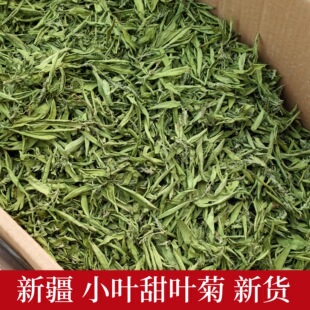 ���l�������~����؛  ����~С�~���~�� ɢ�b��ș�� ����ă�