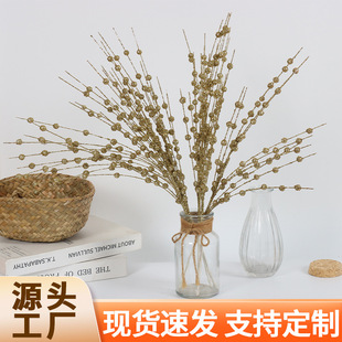 �羳�}�Q���b�Ʒ�����ĭ���}�Q��������h�ٗl��Ƭ����{������