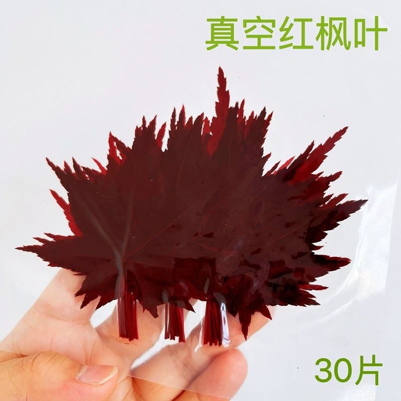 Свежий красный кленовый лист вакуумная упаковка Зеленый кленовый лист Сашими Суши Японская еда Западная обеденная тарелка Декоративные цветы