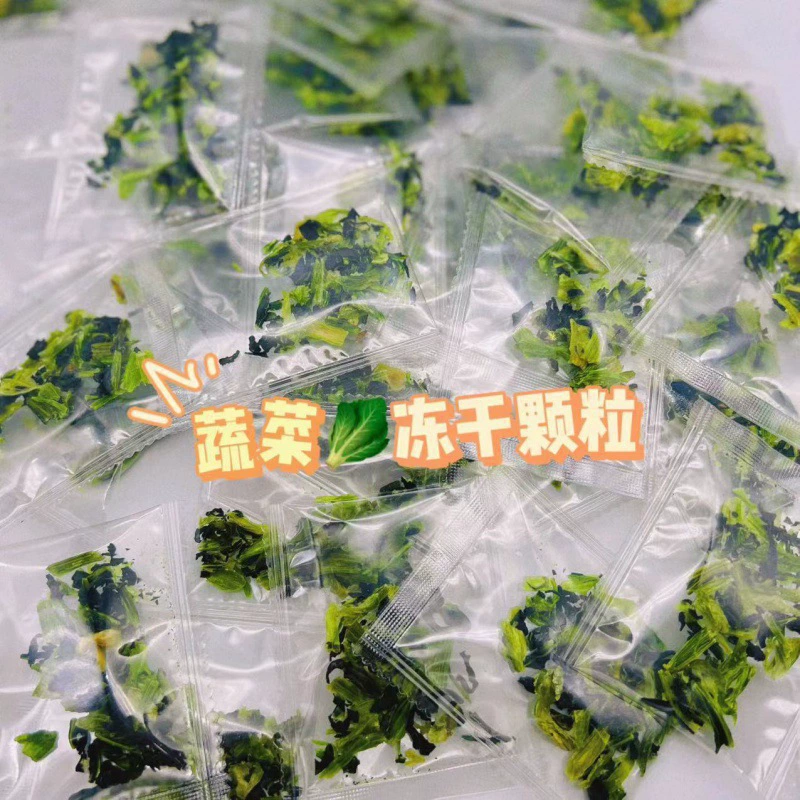 Snails for students for experiments white jade, pet