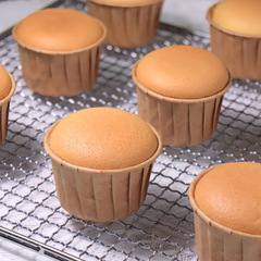 グリルの冷たい網の食品級のグリルのステンレスの網の棚のバーベキューの網のグリルのbbqの屋外のグリルの干し台の四角形