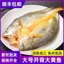 �_���S�~�����r�����ȥ�S���~���Ʒ�_���S�~���~ˮ�a���l