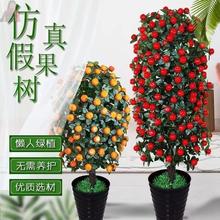 金桔果树客厅花艺植物盆景装饰花绿植假花盆栽橘子树