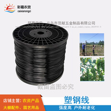 �ߏ�����䓾����ﾀ�����pet���ϰ�������������K�����Ѽ�����