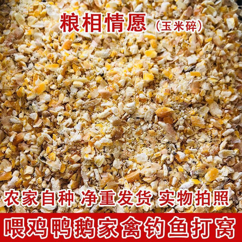 鶏の飼育用のトウモロコシの粉砕、鶏の飼育用のトウモロコシの価格、挽きたての低価格、多くの地方で鶏の飼育、昭関産|undefined