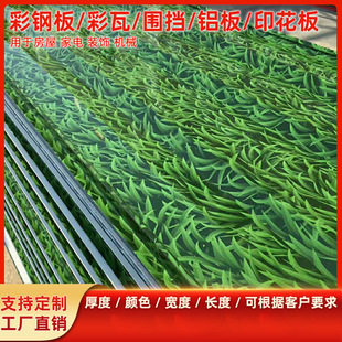 �L���N��С�݇����� ������픲���� ӡ���ͺ���ӡ������ ������