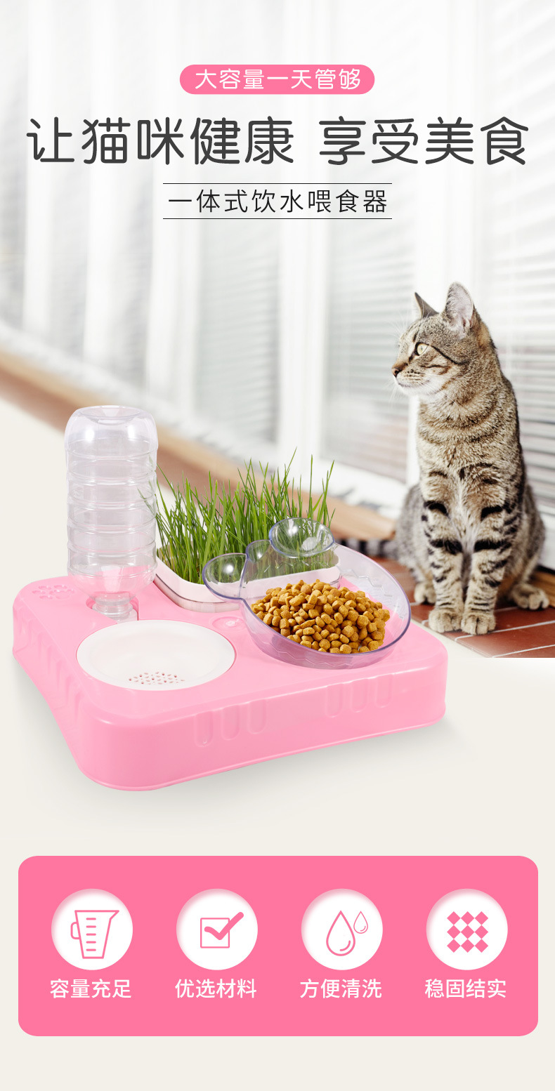 猫碗1_01.jpg
