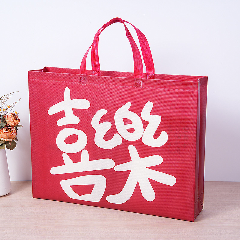 Bolsos de tienda de ropa gran bolsas de compras no tejidas personalizadas Wenchuang bolsas no tejidas personalizadas logotipo