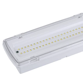 LED应急灯;应急指示灯具;阅读台灯