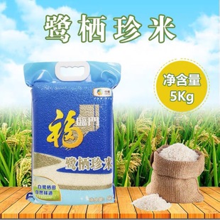 ���R�T��������5kg*�|�������мZ��Ʒ����������Ȼζ��10����b