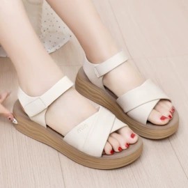 女式休闲单鞋;女式运动单鞋;女式棉鞋