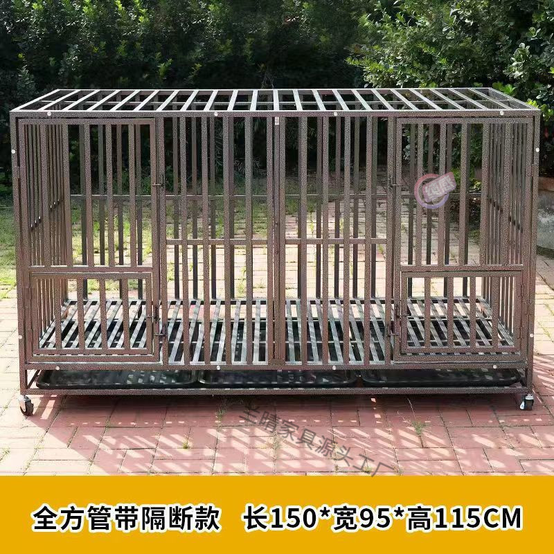 d63f21eb-b67d-425e-8aab-9bfa054f67fc.jpe