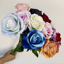 õ�廨��˼õ��W�t�����̈��鷿���û�c���l