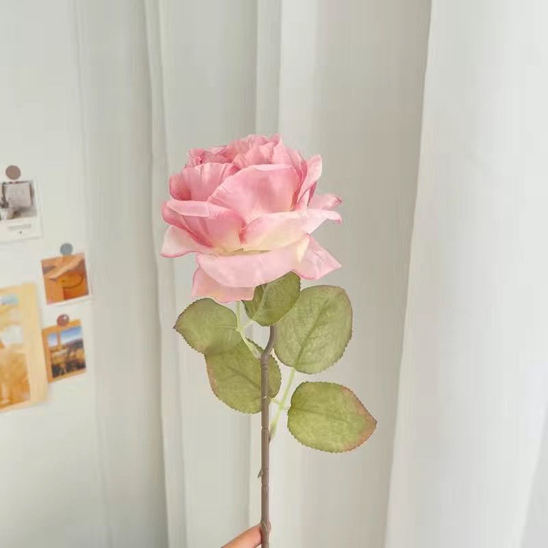 핑크 번트 엣지 로즈 [코어 포함]